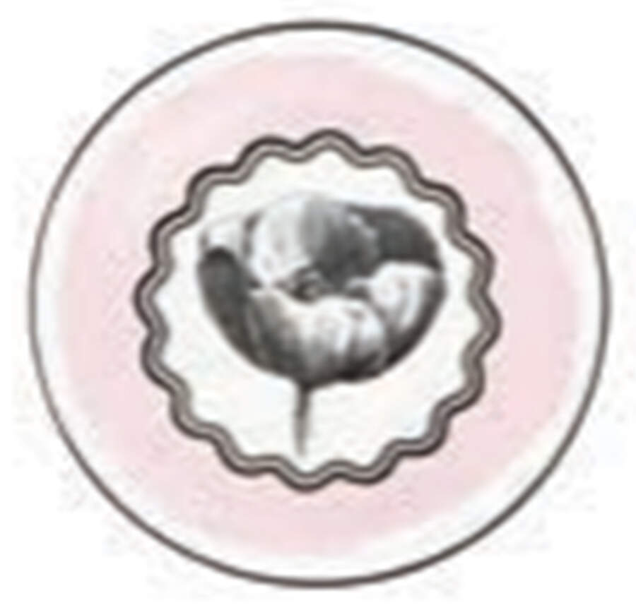 Herbariae Coaster by Vista Alegre-1