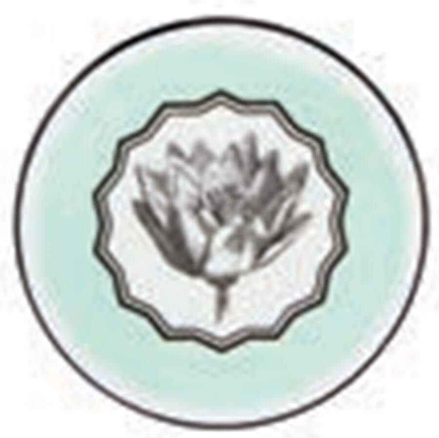 Herbariae Coaster by Vista Alegre-1
