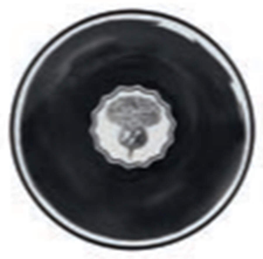 Herbariae Small Bread & Butter Plate by Vista Alegre-1