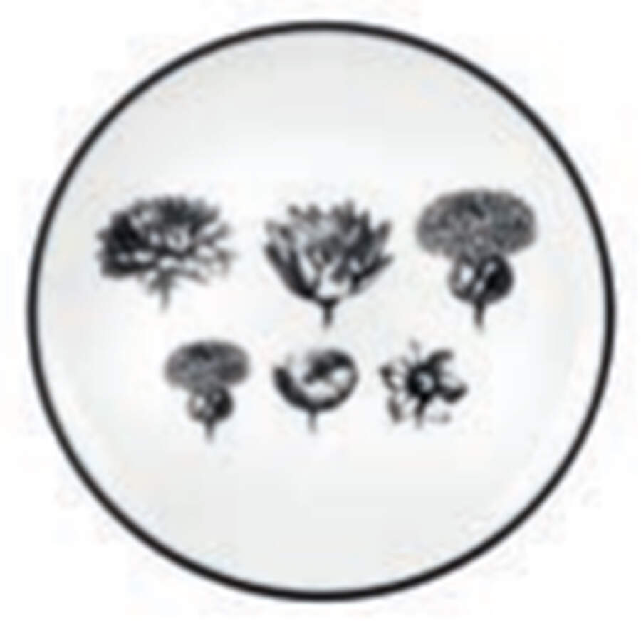 Herbariae Bread & Butter Plate by Vista Alegre-1