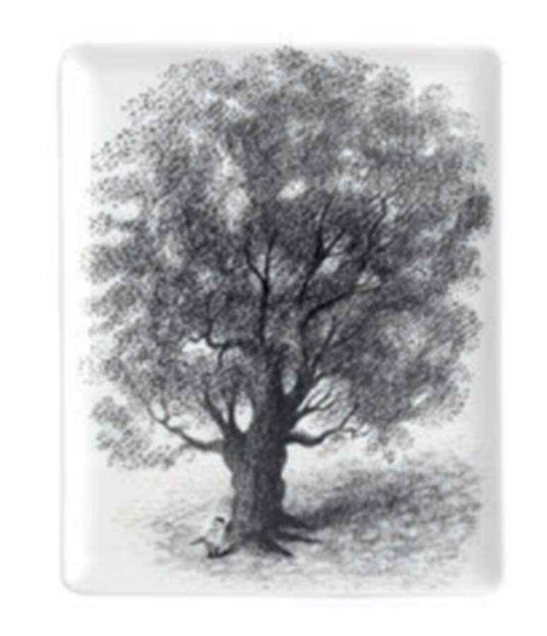Sempe 9" Rectangular Tray by Vista Alegre-1