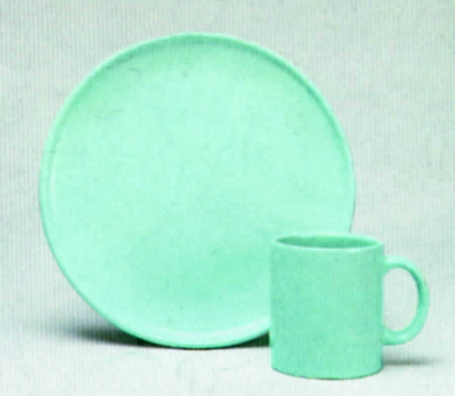 Solid Colours Mint Dinner Plate by Waechtersbach-1