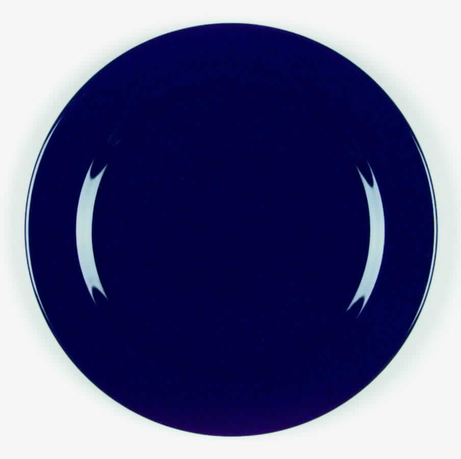 Solid Colours Violet Dinner Plate by Waechtersbach-1