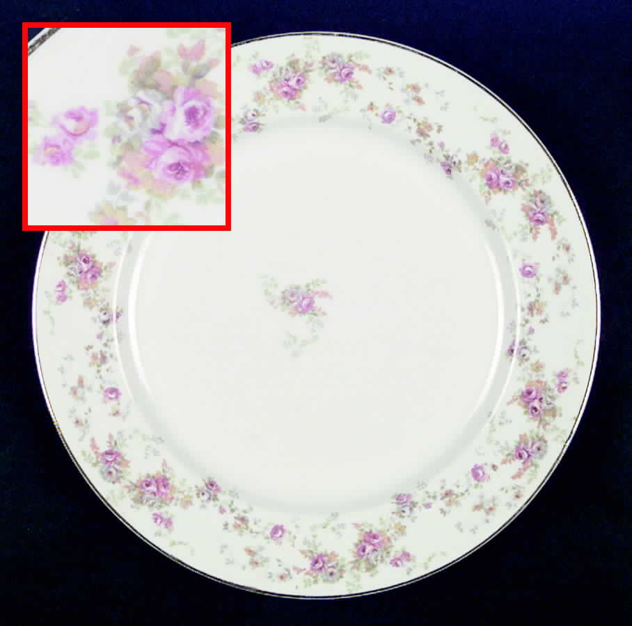 A9322 Dinner Plate by Warwick-1