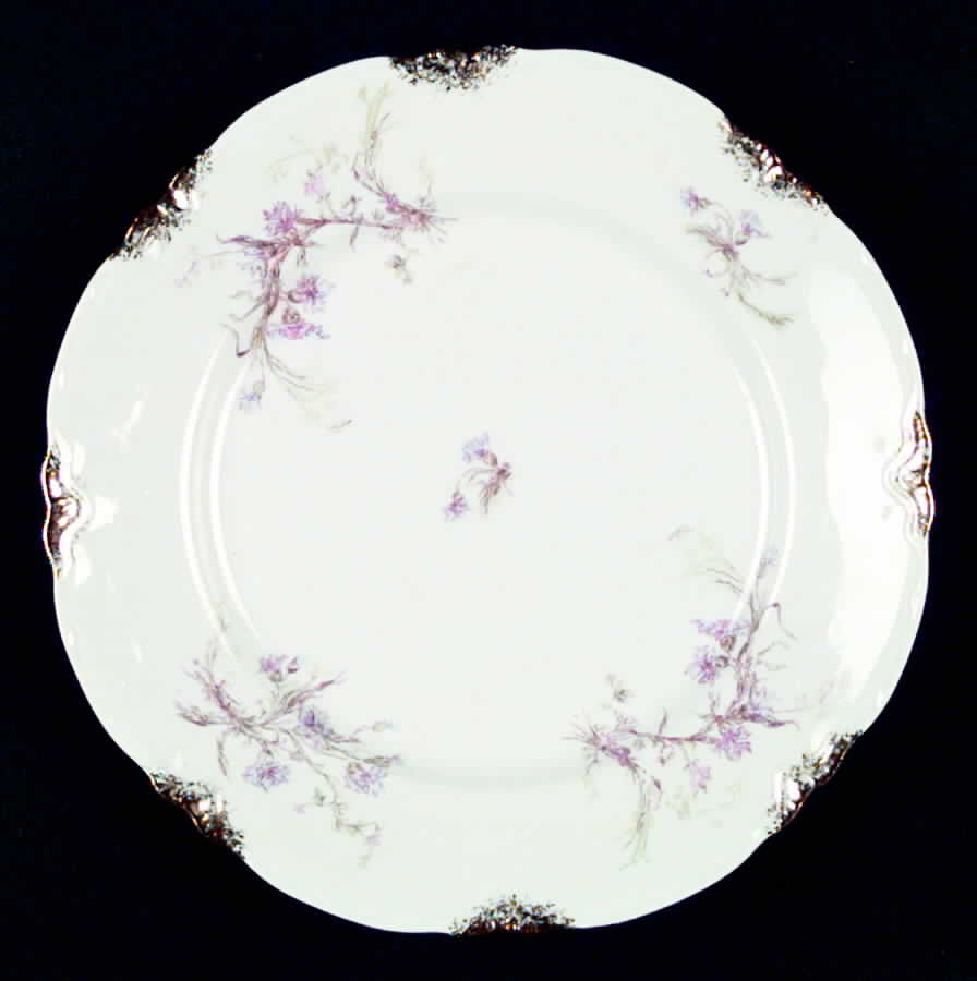 A2002 Dinner Plate by Warwick-1
