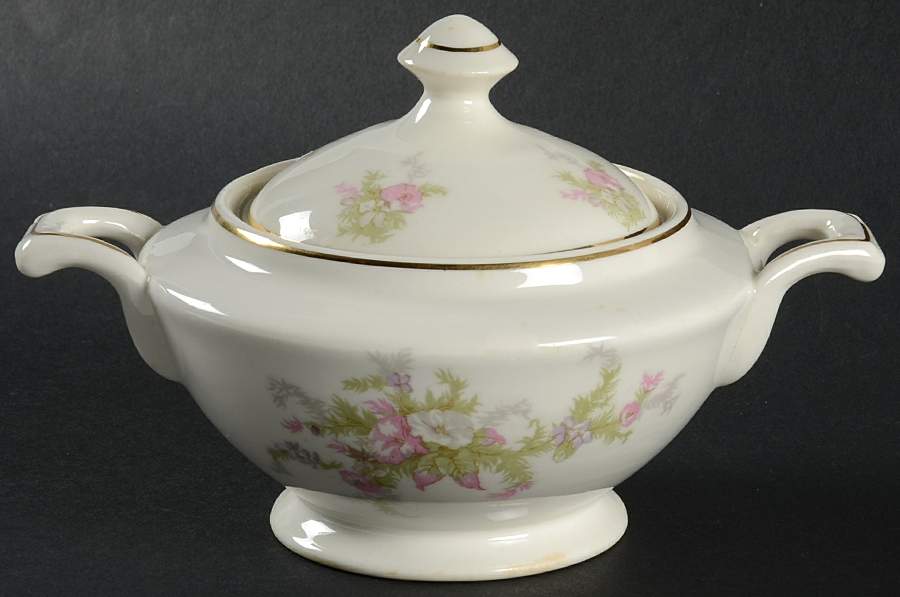 A9320 Sugar Bowl & Lid by Warwick-1
