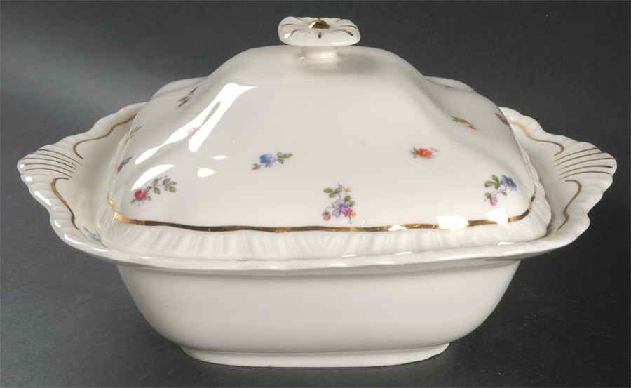AB-514 Square Covered Vegetable by Warwick-1