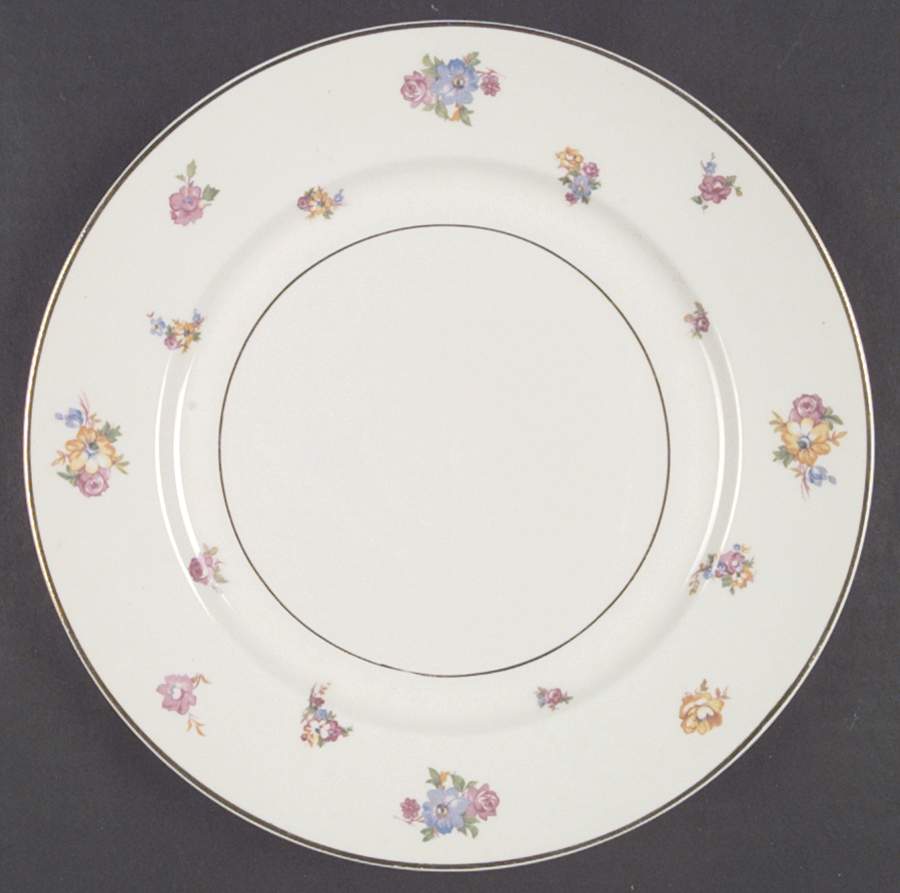 AB9428 Dinner Plate by Warwick-1
