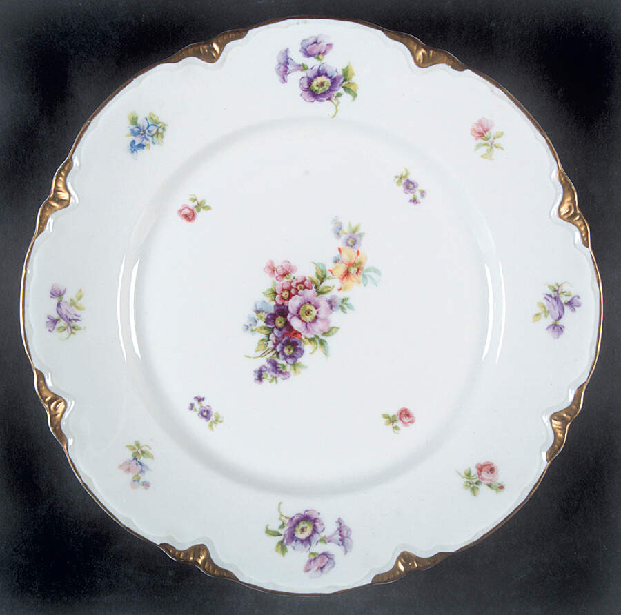 C2009 Dinner Plate by Warwick-1