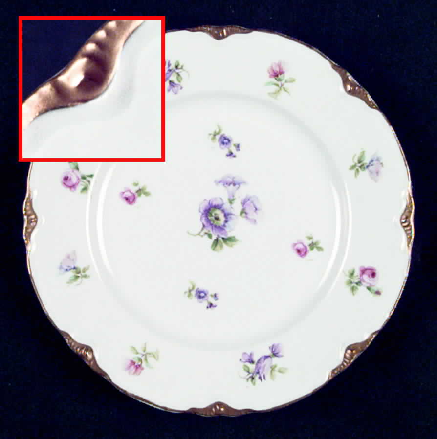 C2009 Dessert/Pie Plate by Warwick-1