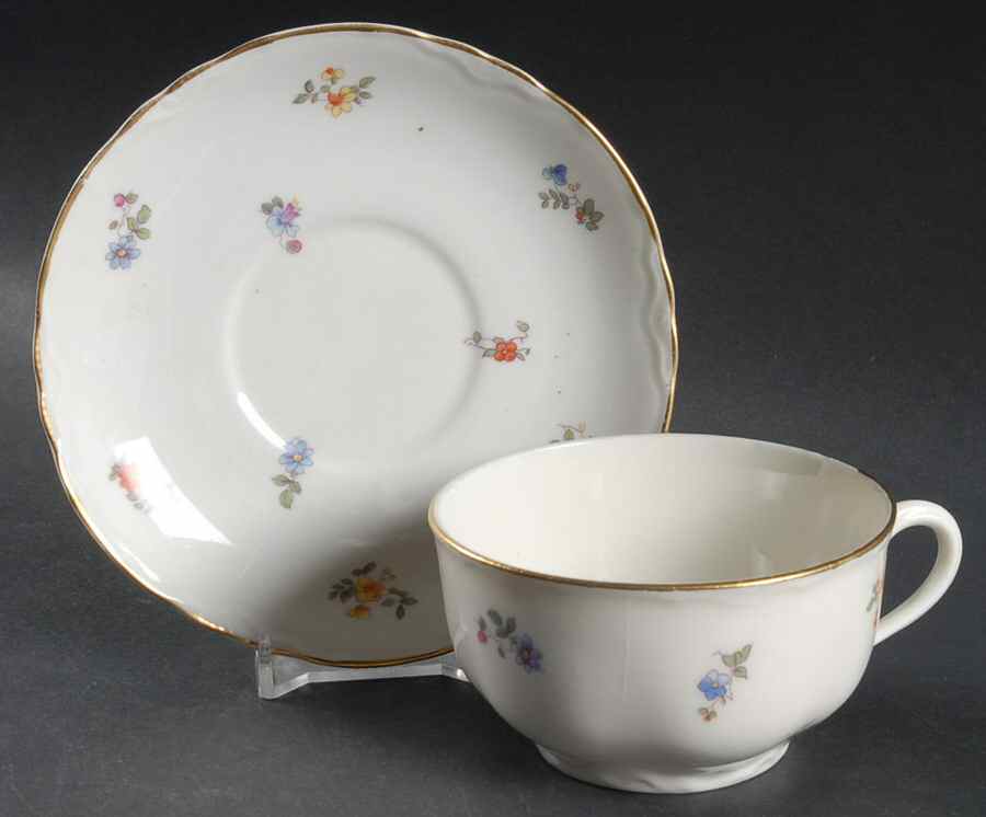 C2079 Flat Cup & Saucer Set by Warwick-1