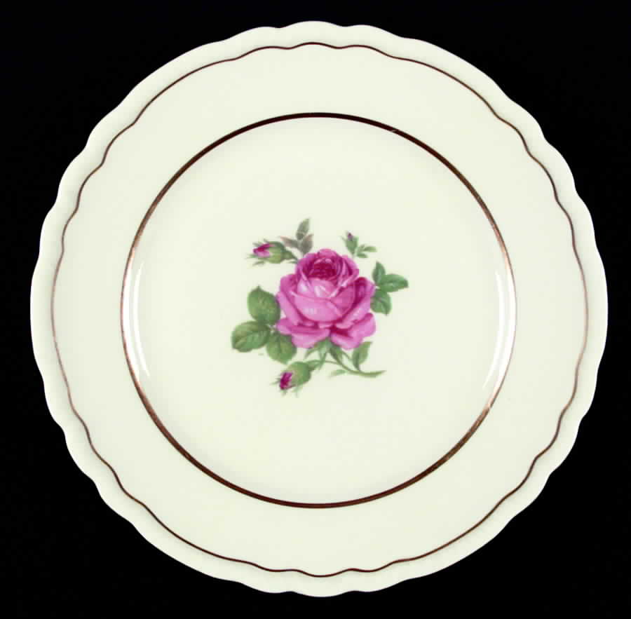 C527 Dinner Plate by Warwick-1