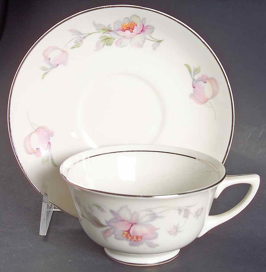 Silver Moon Footed Cup & Saucer Set by Warwick-1