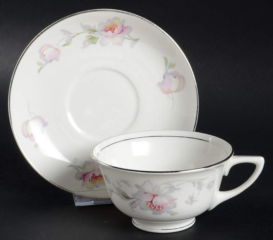 Silver Moon Footed Cup & Saucer Set by Warwick-1