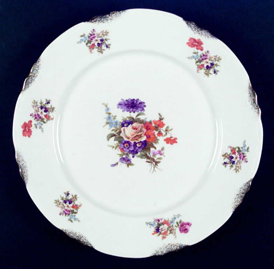 WAR10 Dinner Plate by Warwick-1