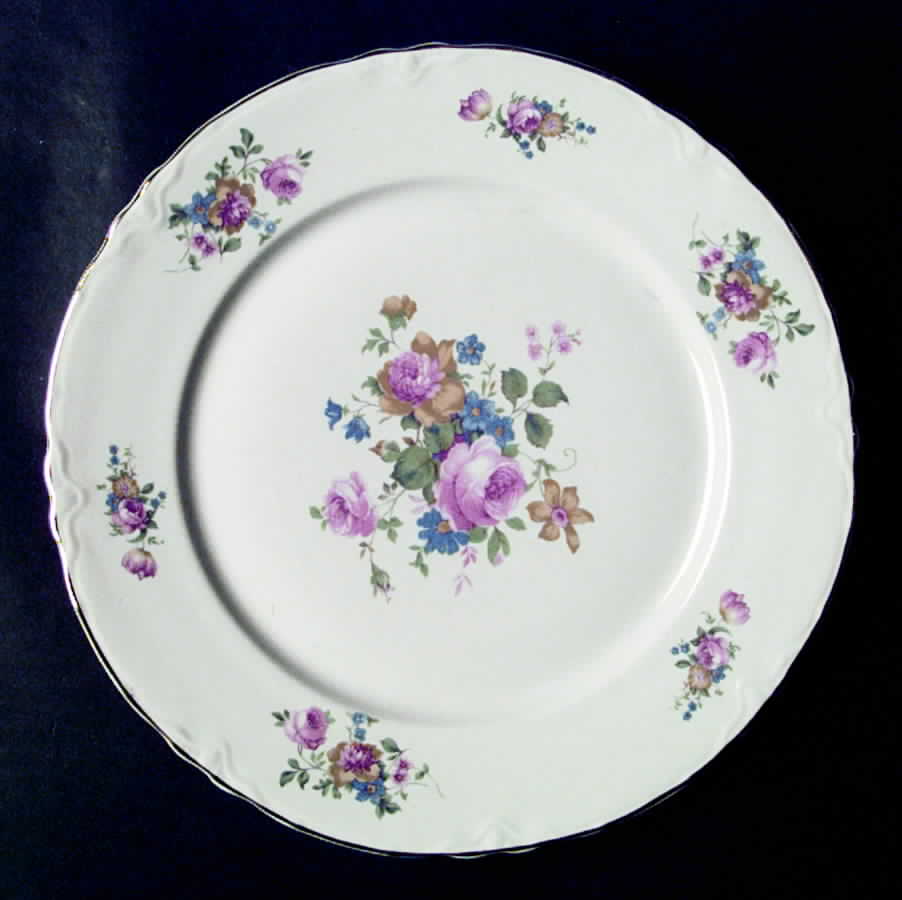 WAR14 Dinner Plate by Warwick-1