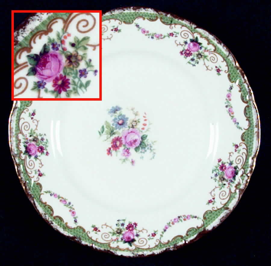 C2017 Dinner Plate by Warwick-1