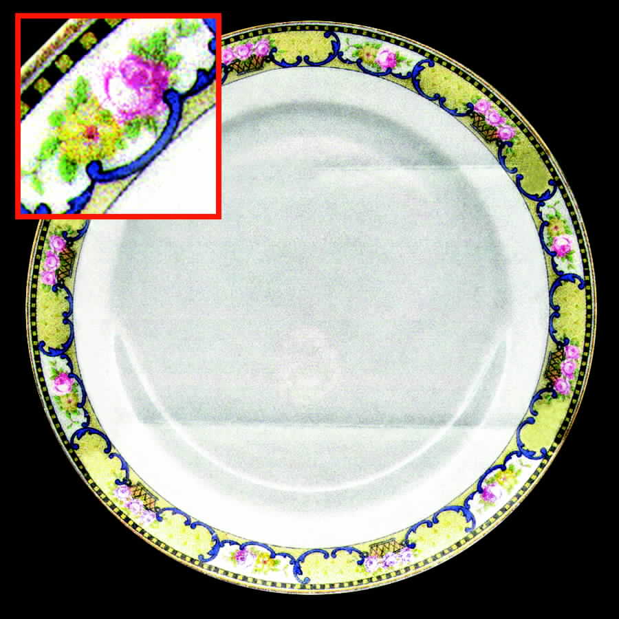 WAR24 Dinner Plate by Warwick-1