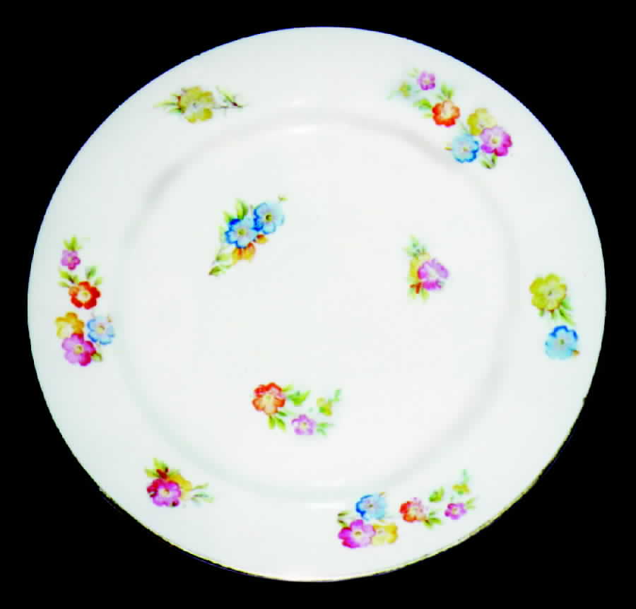 WAR30 Dinner Plate by Warwick-1