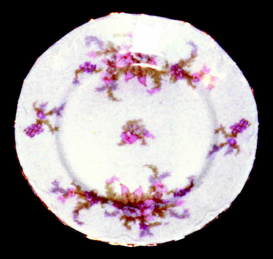WAR37 Dinner Plate by Warwick-1