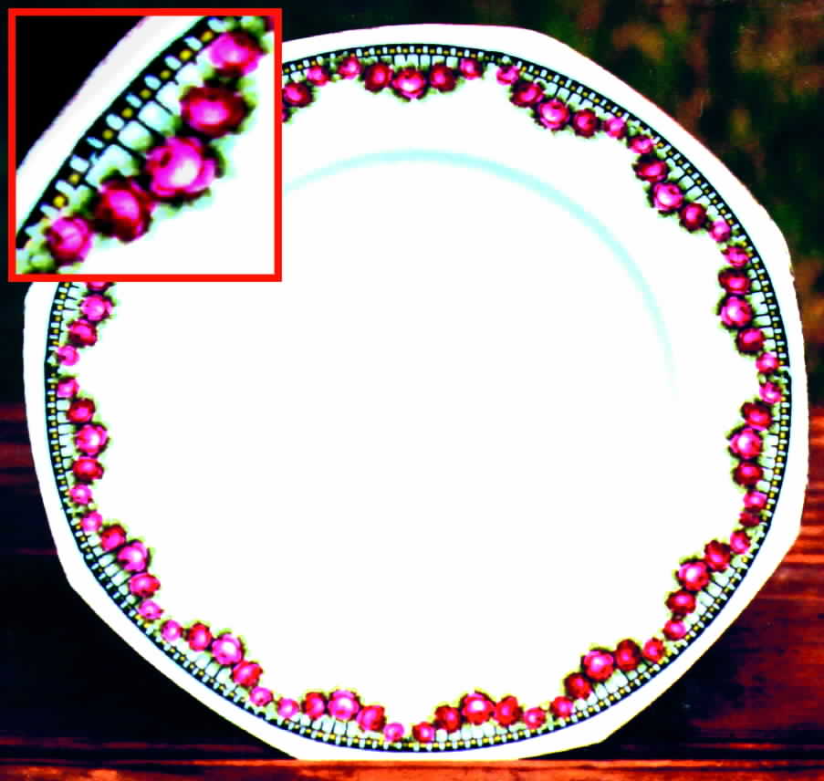 WEI20 Dinner Plate by Weimar-1