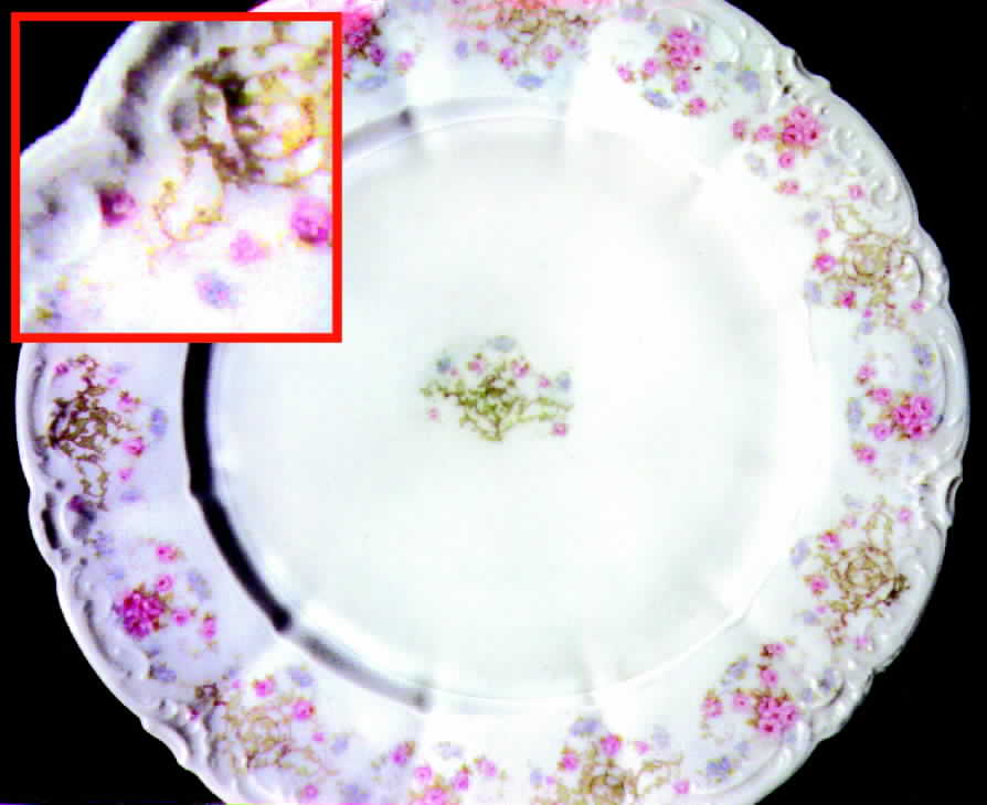 WEI21 Dinner Plate by Weimar-1