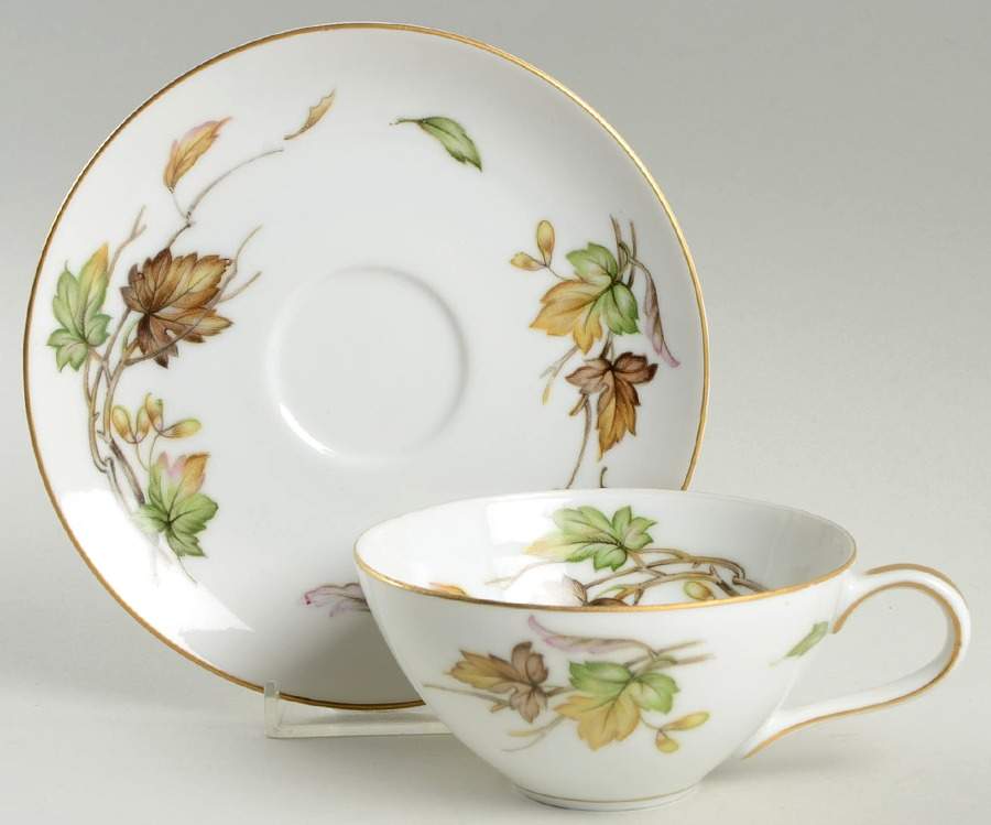 Autumn Flat Cup & Saucer Set by Wentworth-1