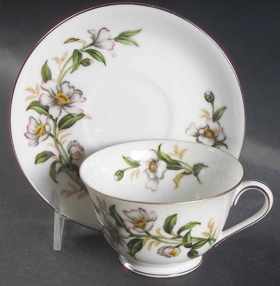 Camellia (6022, Rim Shape) Footed Cup & Saucer Set by Wentworth-1