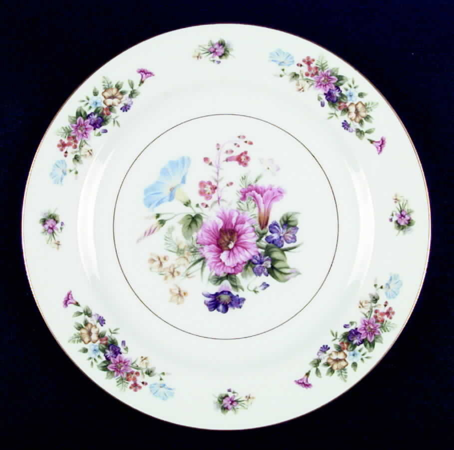 Dresdon Dinner Plate by Wentworth-1