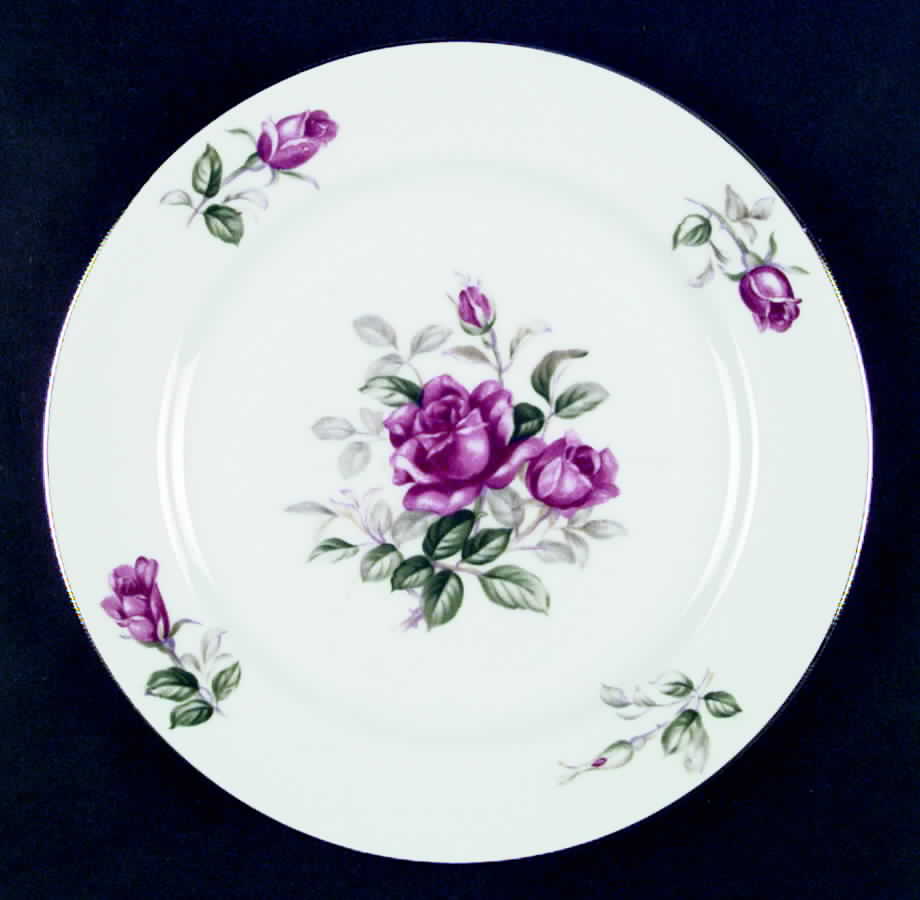 Valencia Dinner Plate by Wentworth-1