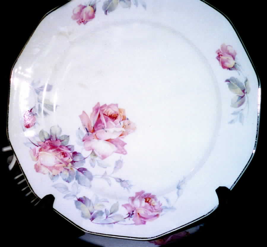 Rosemary (England) Dinner Plate by Windsor (England)-1