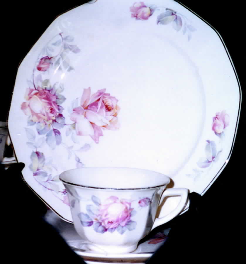 Rosemary (England) Footed Cup & Saucer Set by Windsor (England)-1