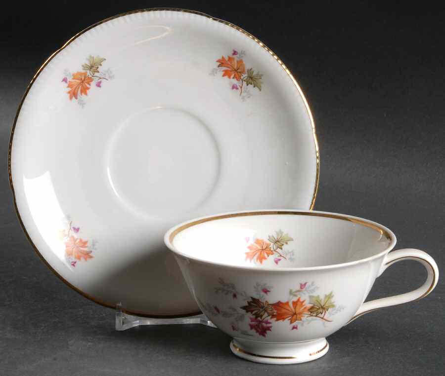 Autumn (Rim, Gold Trim) Flat Cup & Saucer Set by Winterling - Bavaria-1