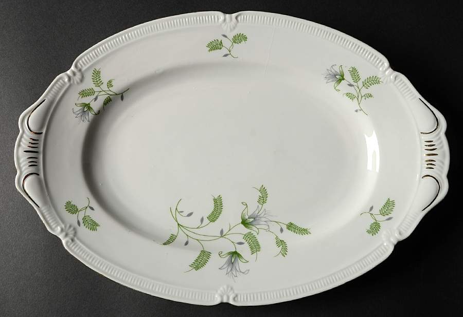 B. Fern (Scalloped) 12" Oval Serving Platter by Winterling - Bavaria-1