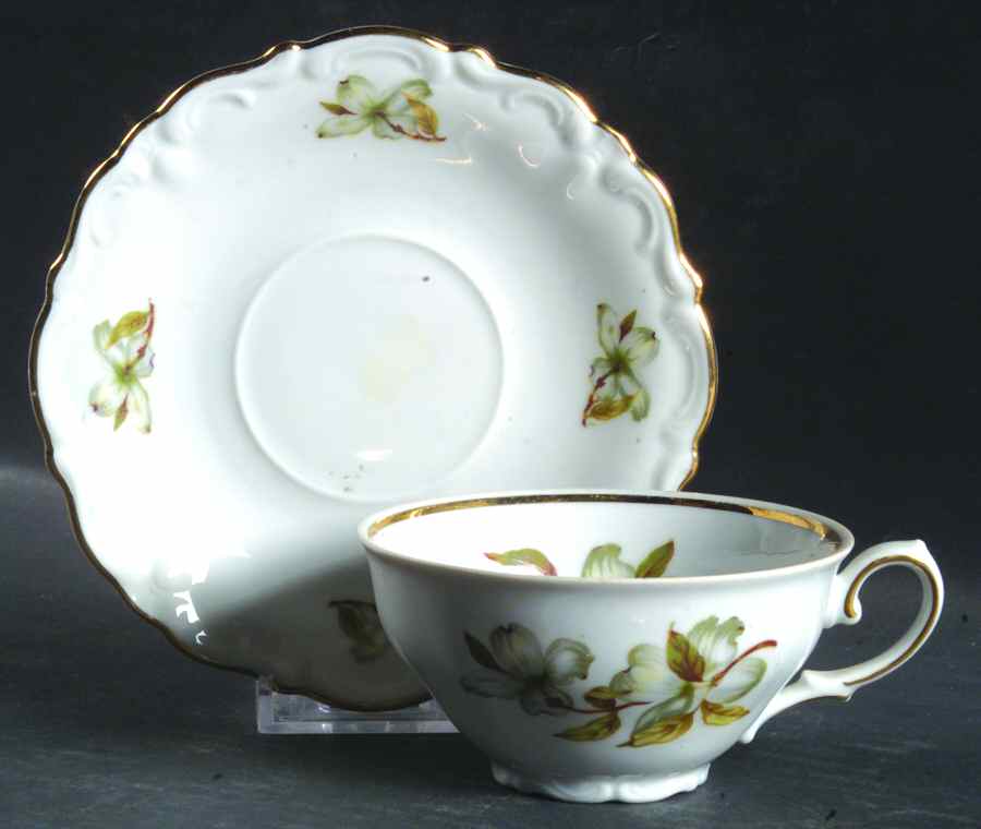 Dogwood (Scalloped, Rim) Footed Cup & Saucer Set by Winterling - Bavaria-1