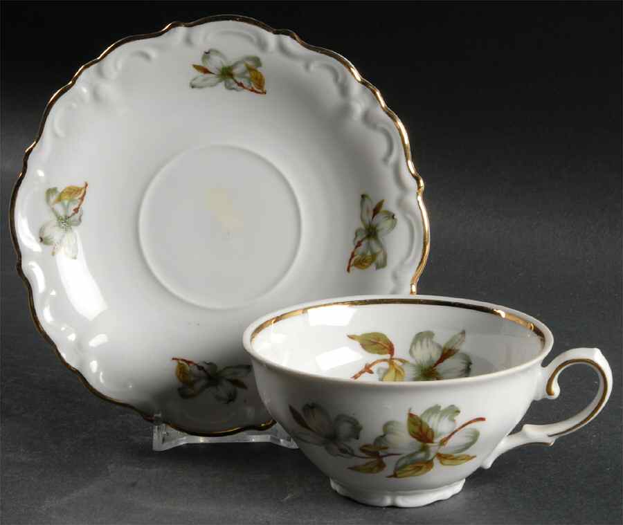Dogwood (Scalloped, Rim) Flat Cup & Saucer Set by Winterling - Bavaria-1