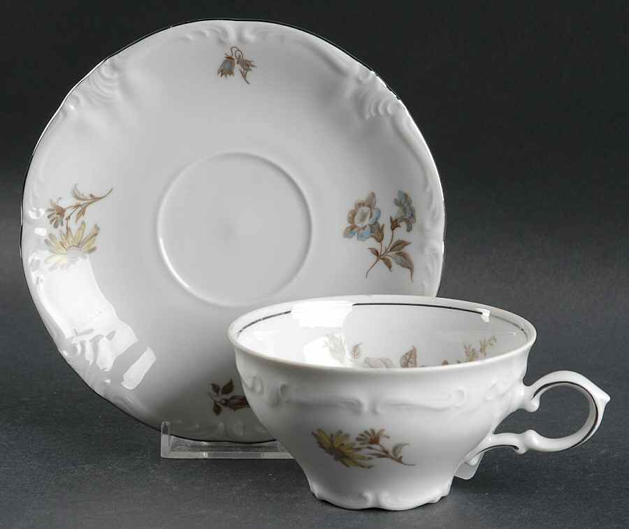 Empress (Platinum Trim) Flat Cup & Saucer Set by Winterling - Bavaria-1