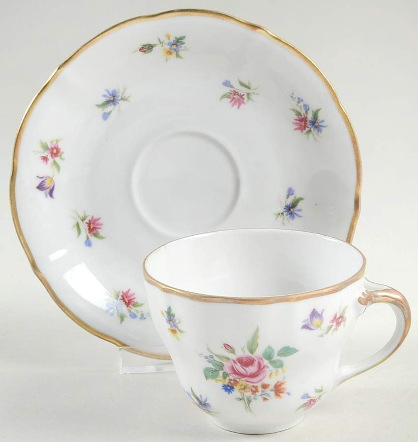 Meissen Gardens Bayreuth Flat Cup & Saucer Set by Winterling - Bavaria-1