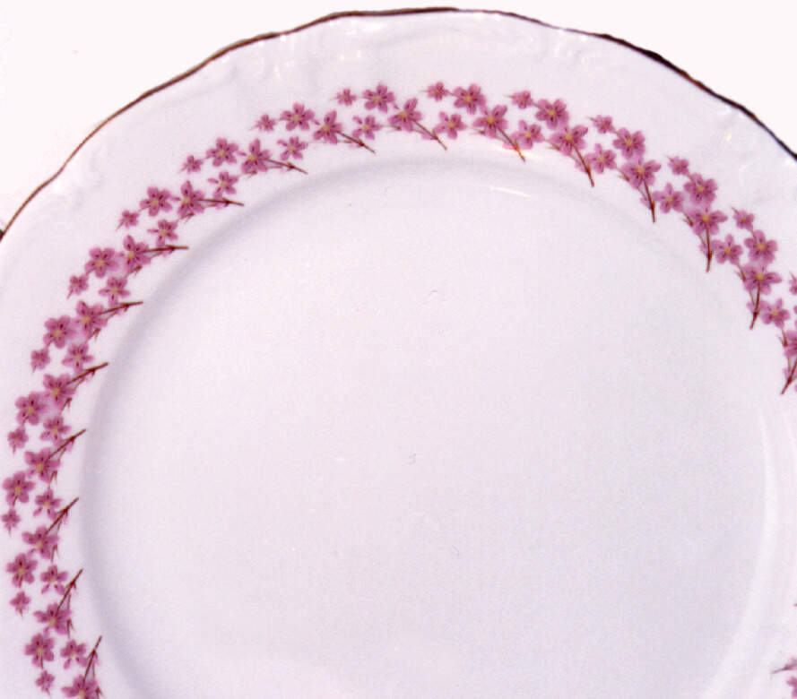 Pink Ring Dinner Plate by Winterling - Bavaria-1