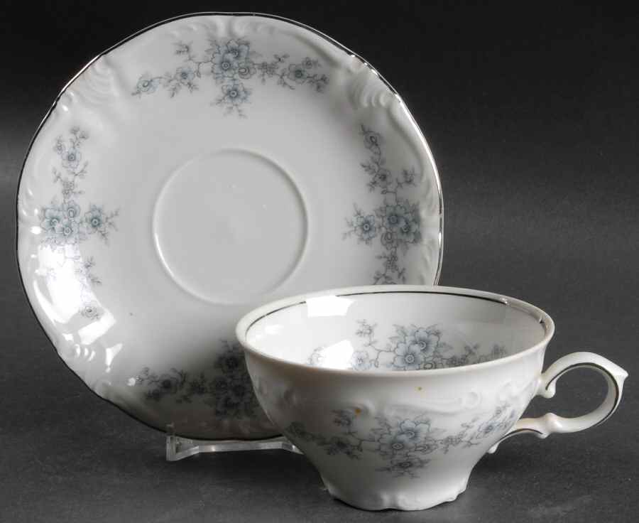 Renaissance Flat Cup & Saucer Set by Winterling - Bavaria-1