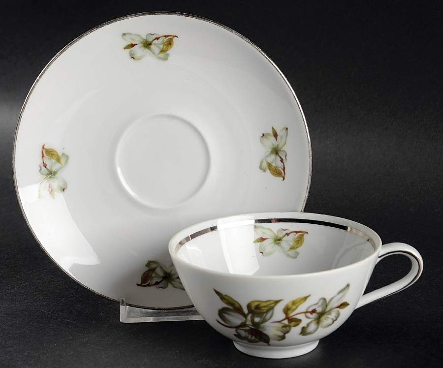 Dogwood (Smooth, Coupe) Footed Cup & Saucer Set by Winterling - Bavaria-1