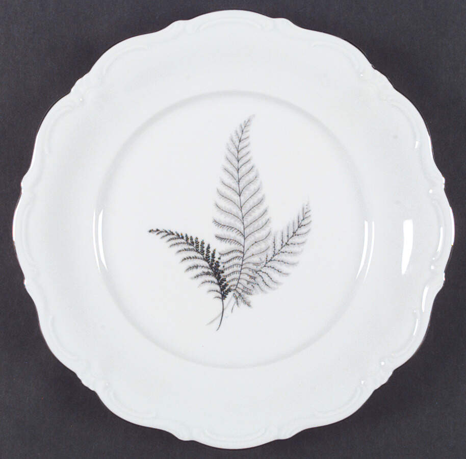 WIG15 Dinner Plate by Winterling - Bavaria-1