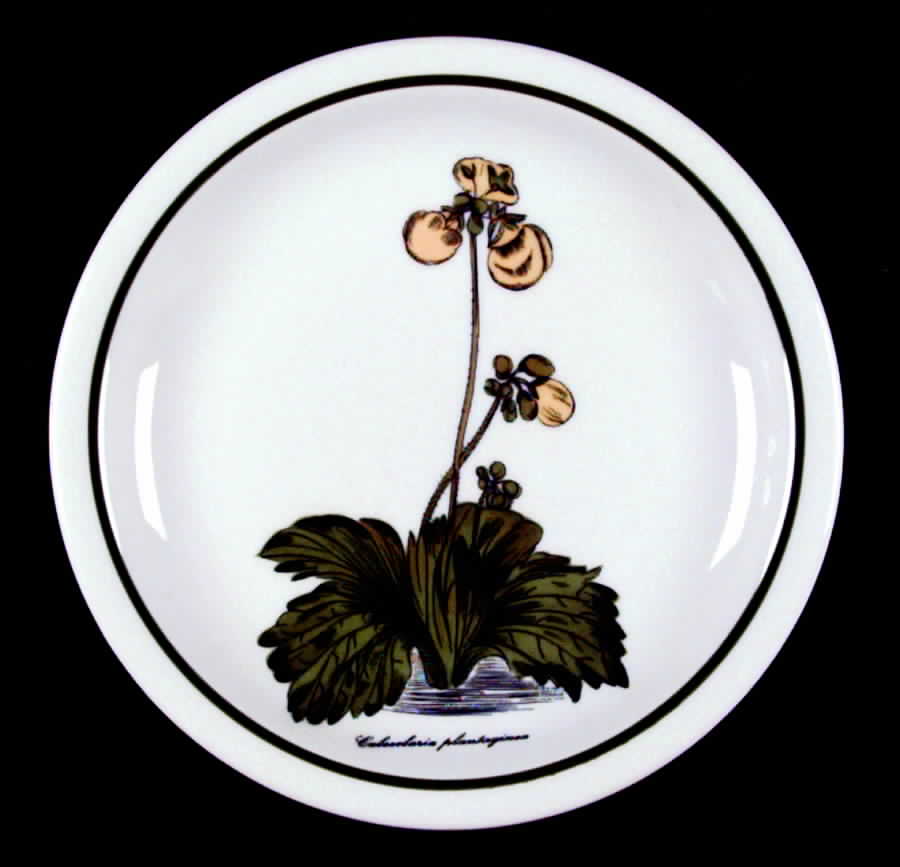 WIG158 Salad Plate by Winterling - Bavaria-1