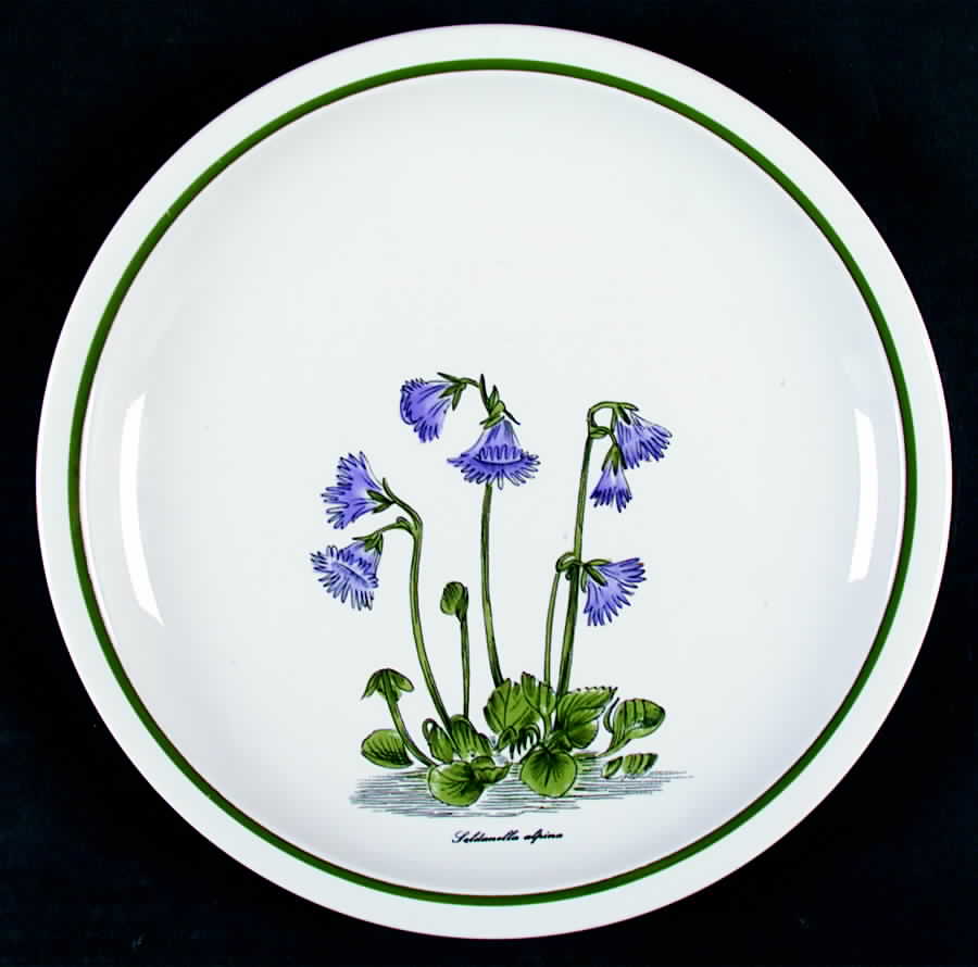WIG158 Dinner Plate by Winterling - Bavaria-1