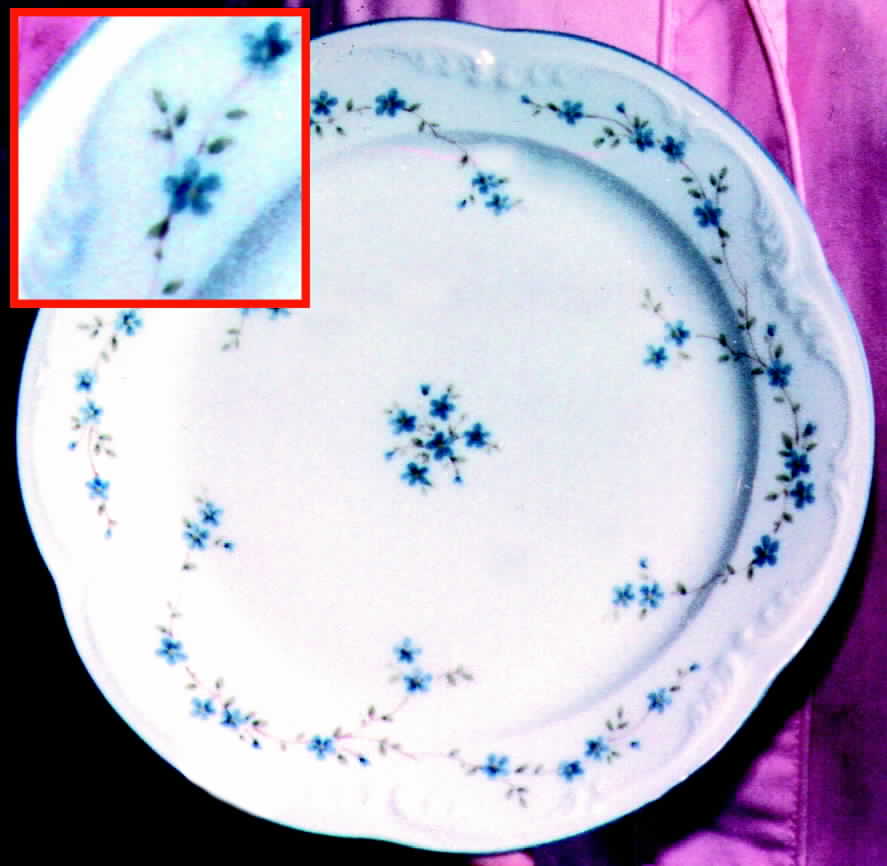 WIG166 Dinner Plate by Winterling - Bavaria-1