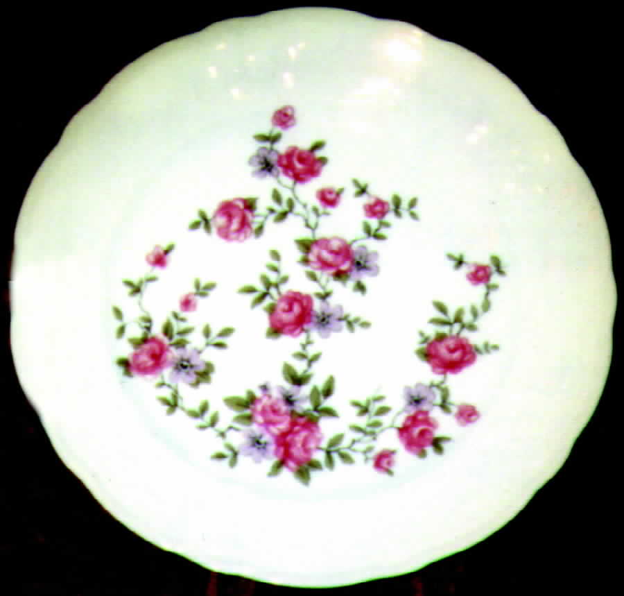 WIG192 Dinner Plate by Winterling - Bavaria-1