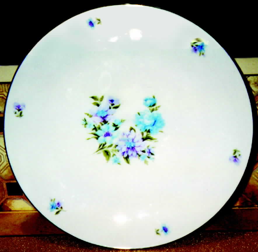 WIG208 Dinner Plate by Winterling - Bavaria-1