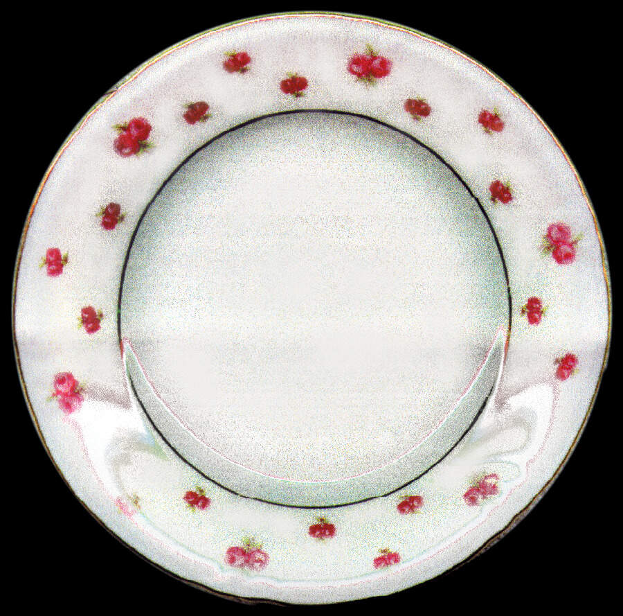 WIG233 Bread & Butter Plate by Winterling - Bavaria-1