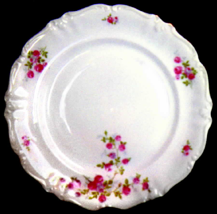 WIG235 Dinner Plate by Winterling - Bavaria-1