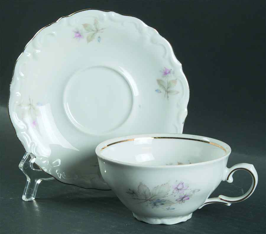 WIG24 Flat Cup & Saucer Set by Winterling - Bavaria-1